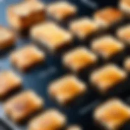 Analyzing the Price Dynamics of Toast Go 2 Introduction