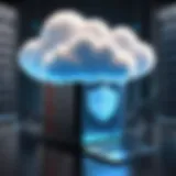 A secure cloud with an encrypted shield