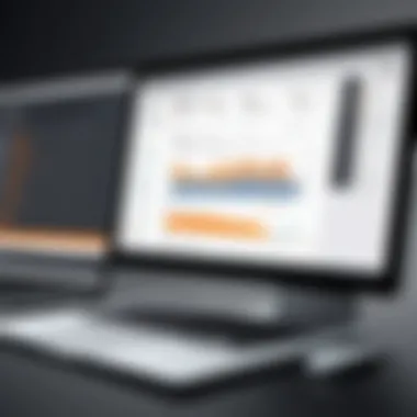 Detailed vulnerability report generated by Burp Suite