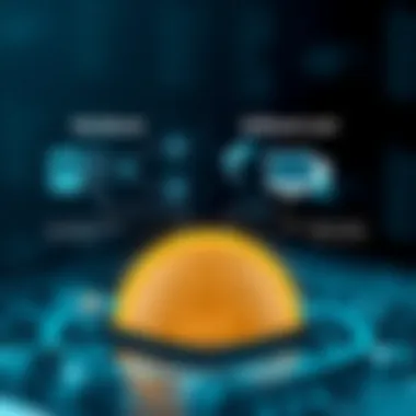 Diagram illustrating hardware vs software costs