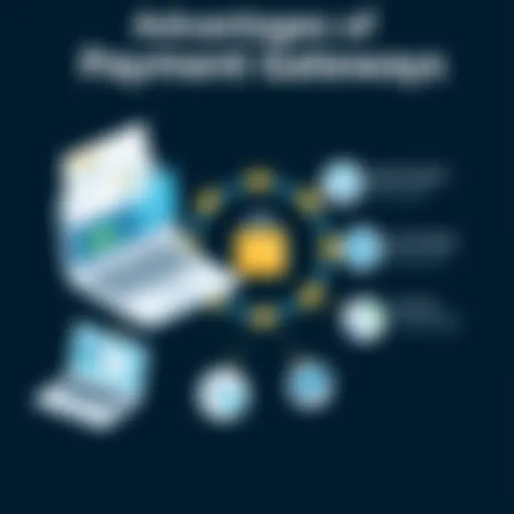 Advantages of Payment Gateways An infographic showing the benefits of using payment gateways