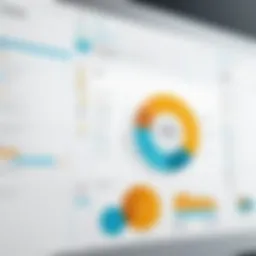 Visual representation of SAP HR Management System interface