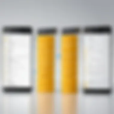 Types of master data within SAP