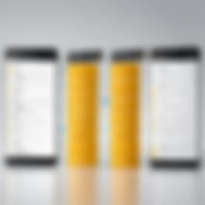 Types of master data within SAP