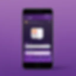 Viber application interface displaying messaging features