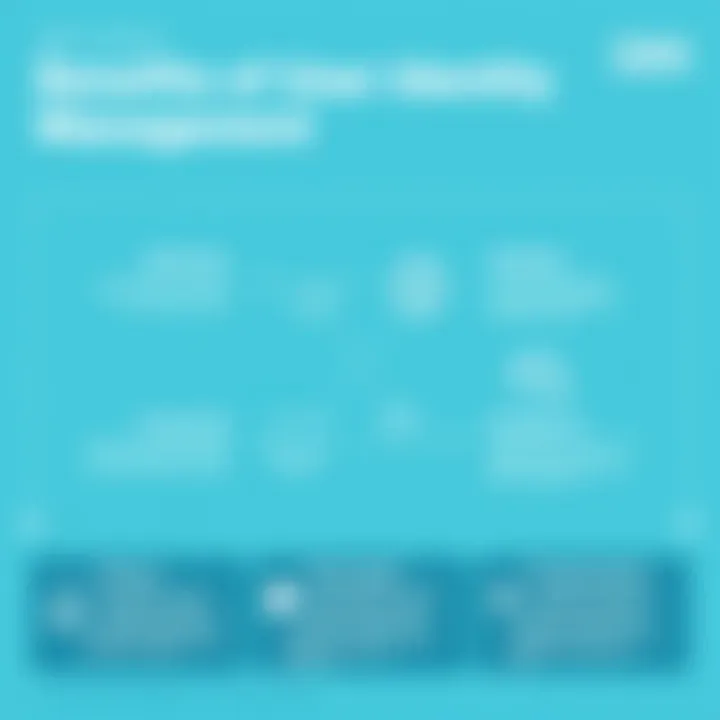 Chart depicting the benefits of user identity management