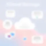 iCloud Storage Options Overview Visual representation of iCloud storage options