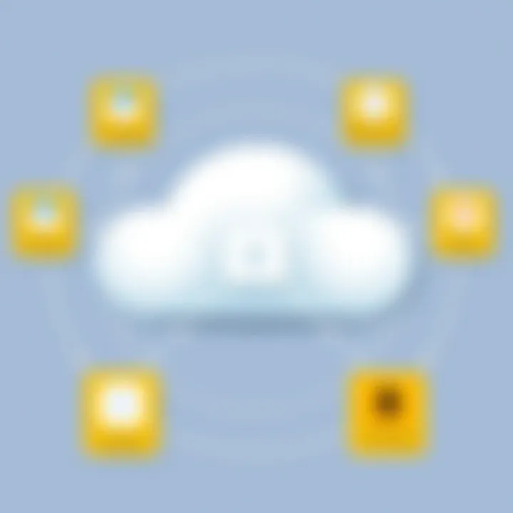 Efficient iCloud Storage Management Diagram of iCloud storage management strategies