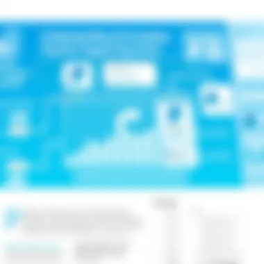 Detailed breakdown of PayPal transaction fees