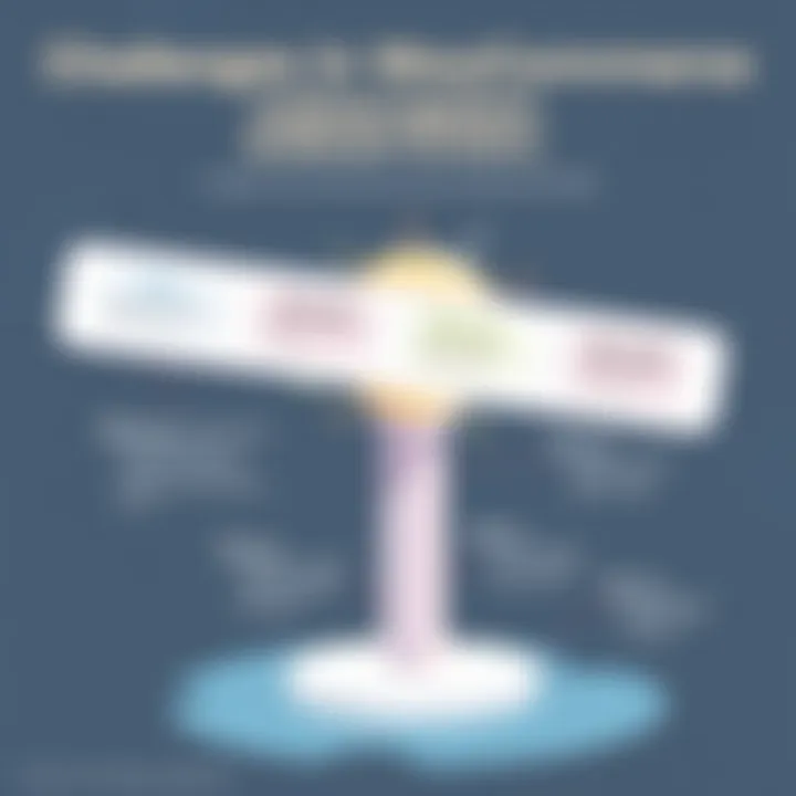 A chart highlighting common challenges faced by users when implementing the WooCommerce Subscription Plugin.