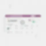 WooCommerce Subscription Management Dashboard A visual representation of the WooCommerce Subscription Plugin dashboard showcasing subscription management features.